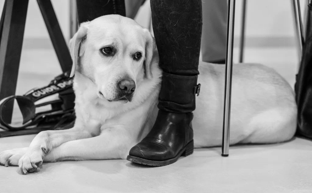 Ασπρόμαυρη φωτογραφία της Λούνας
