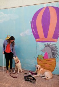 Μπροστά σε τοίχο που έχει ζωγραφισμένο ένα αερόστατο, η Λούνα κοιτάει στα μάτια την Χριστίνα Σαρρή, ξ Ίρμα είναι καθιστή και ανάμεσά τους το γιλέκο της Λούνα