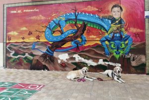 Τα δυο σκυλιά μπροστά σε ζωγραφισμένο τοίχο με τον δράκο και το παιδί